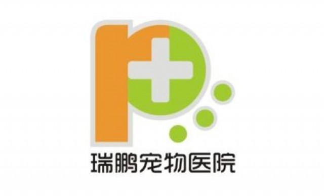 品牌策划设计要怎样抓住小宠物品牌策划设计-深圳品牌策划