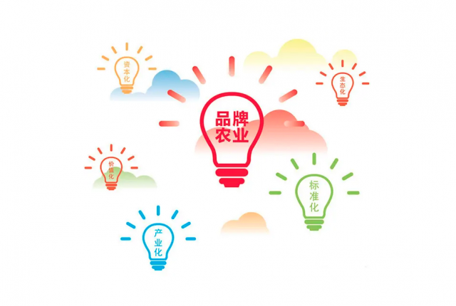 休闲农产品品牌策划设计如何规划？