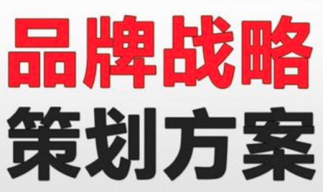 成功的品牌策划方案-品牌策划案范本：