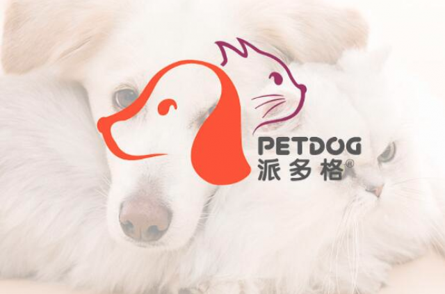 宠物品牌设计任务包括几个方面?