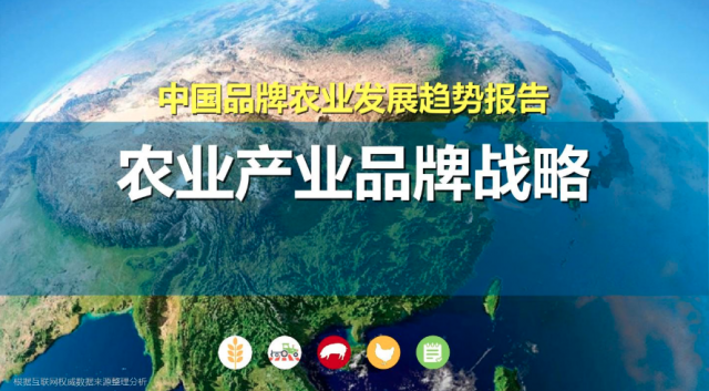 农产品品牌建设内容：提升农产品价值的关键