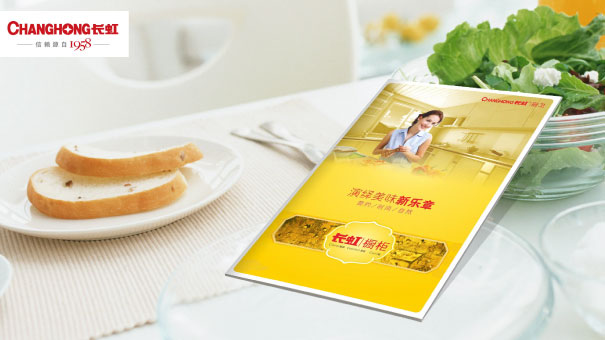 CHANGHONG长虹（视觉设计　画册设计　宣传手册　产品画册）