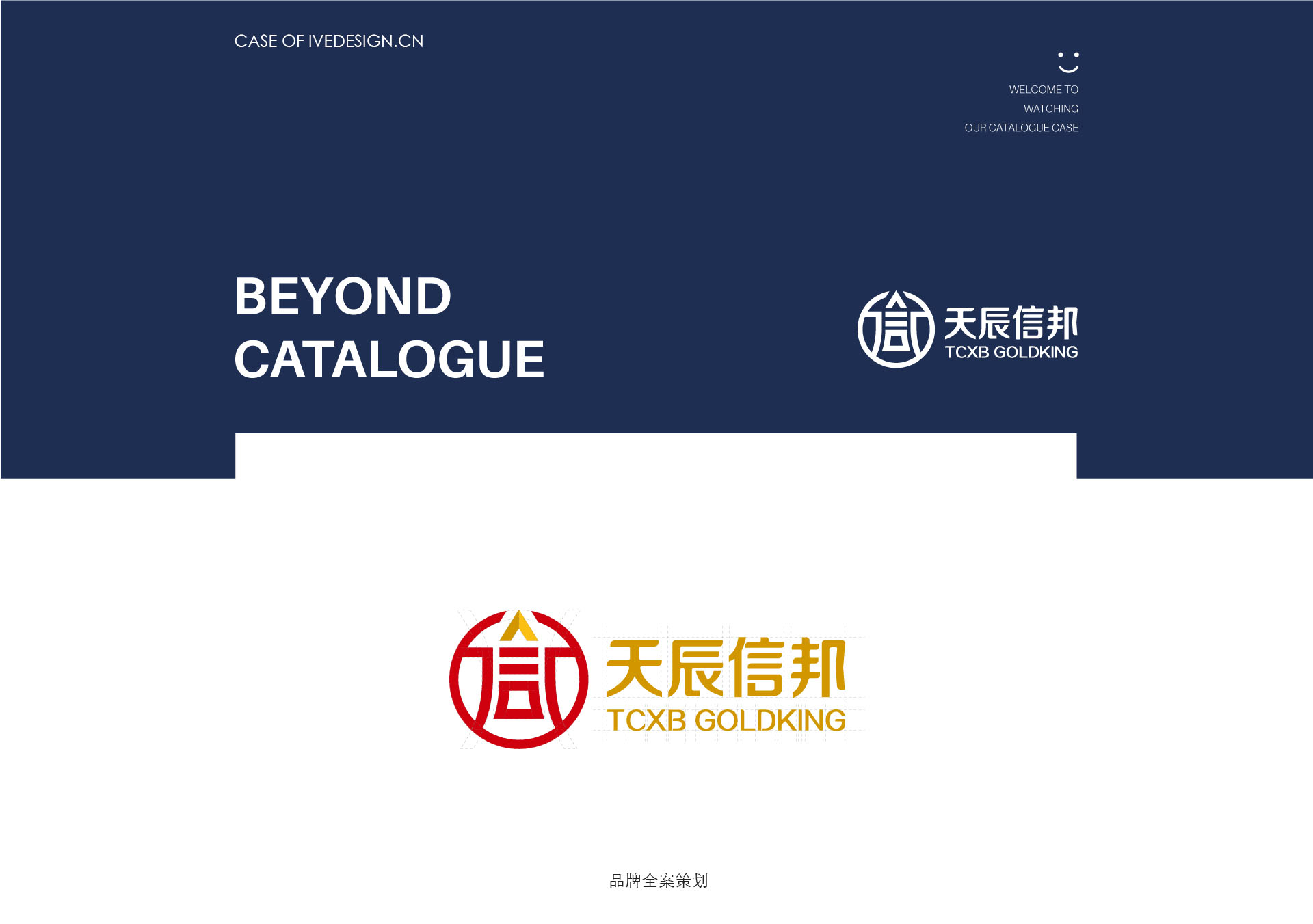天辰信邦矿业品牌策划设计作品案例
