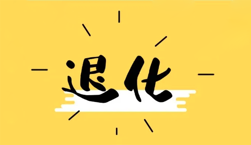 品牌命名策略