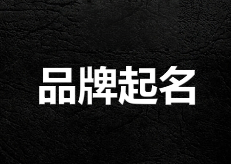 品牌命名 品牌命名